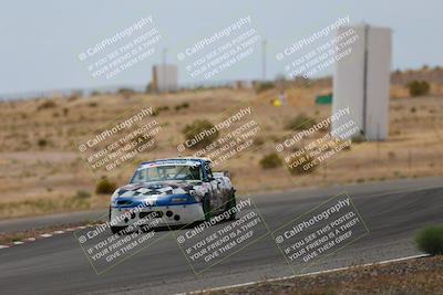 media/May-03-2025-Lucky Dog Racing (Sat) [[206de64b9d]]/Turn 6 (150pm-230pm)/